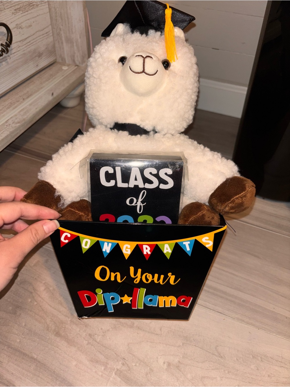 Graduation Llama Plush with 'Class of' Gift Box